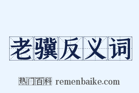老骥反义词是什么意思的图片